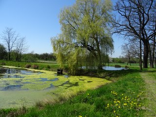 W niedzielę zajrzyjcie do Ożarowa, park dworski będzie otwarty
